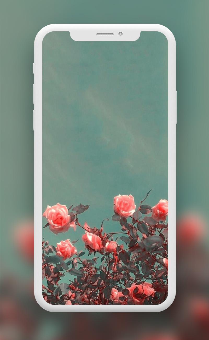 Flowers Wallpapers  screenshots 2