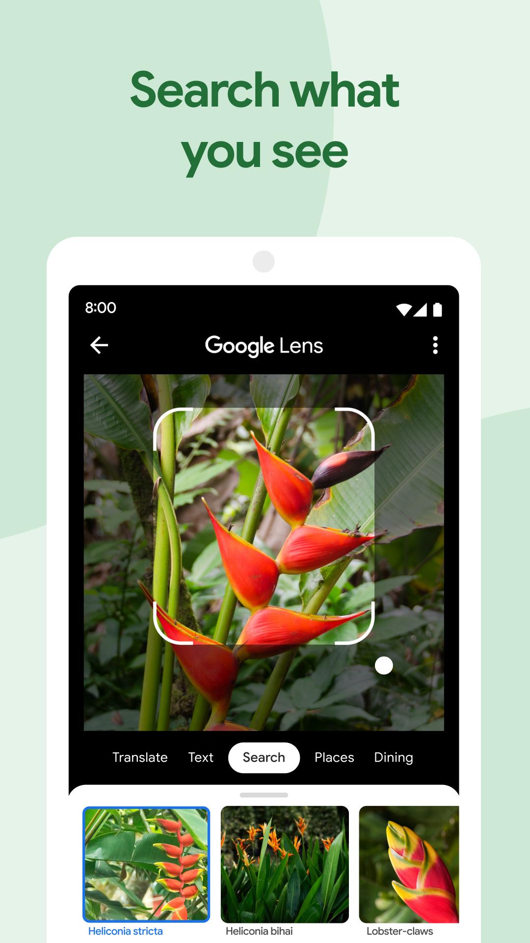 Google Photos capturas de tela 3