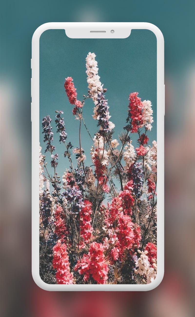 Flowers Wallpapers  screenshots 5