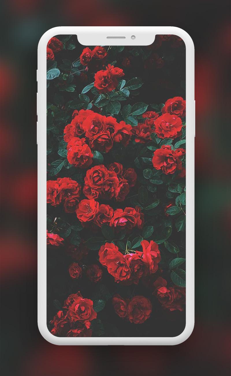 Flowers Wallpapers  screenshots 7