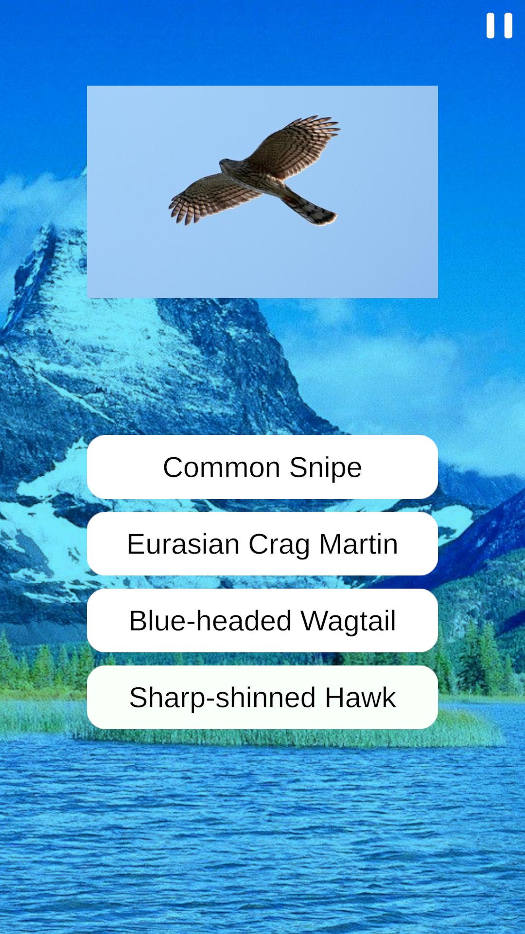 Birds Quiz screenshots 8