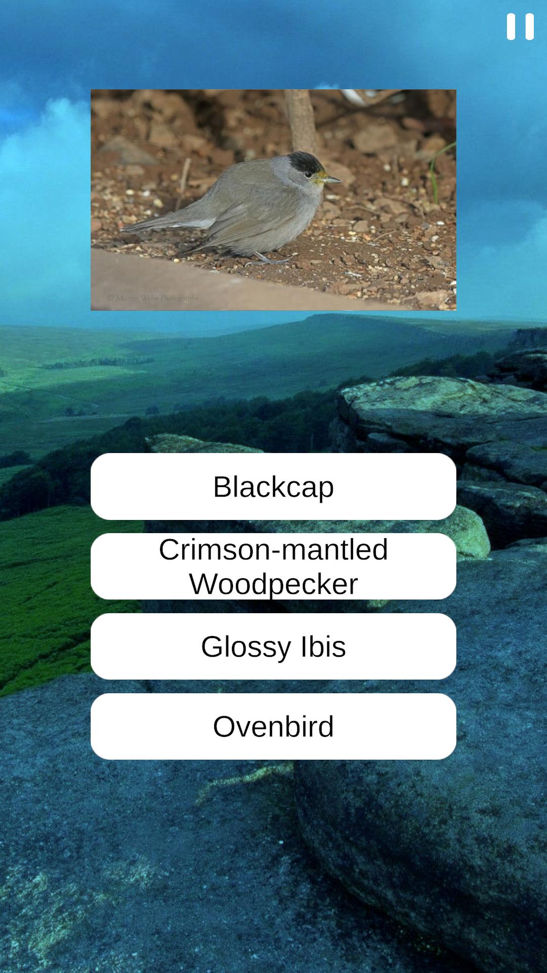 Birds Quiz screenshots 4