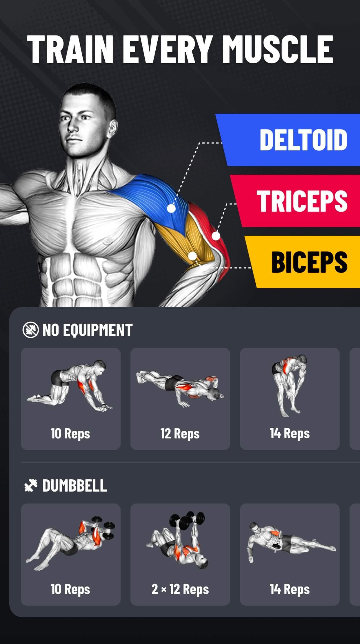 Arm Workout  screenshots 2