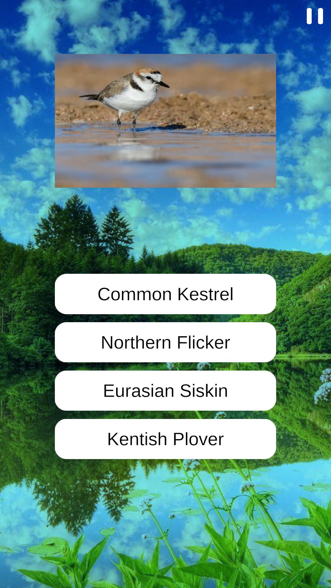 Birds Quiz screenshots 5